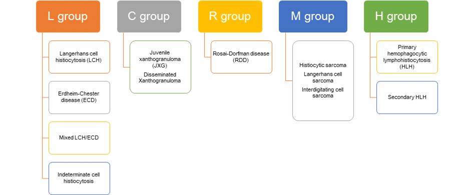 Histiocytosis Group Breakdown